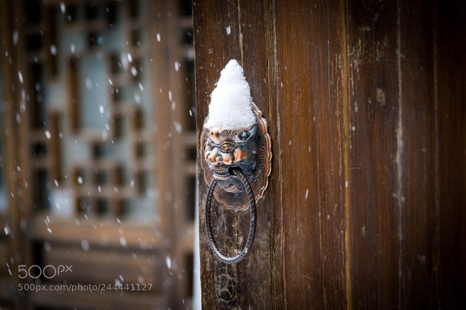 Fujifilm X-E2 sample photo. Snow hat photography