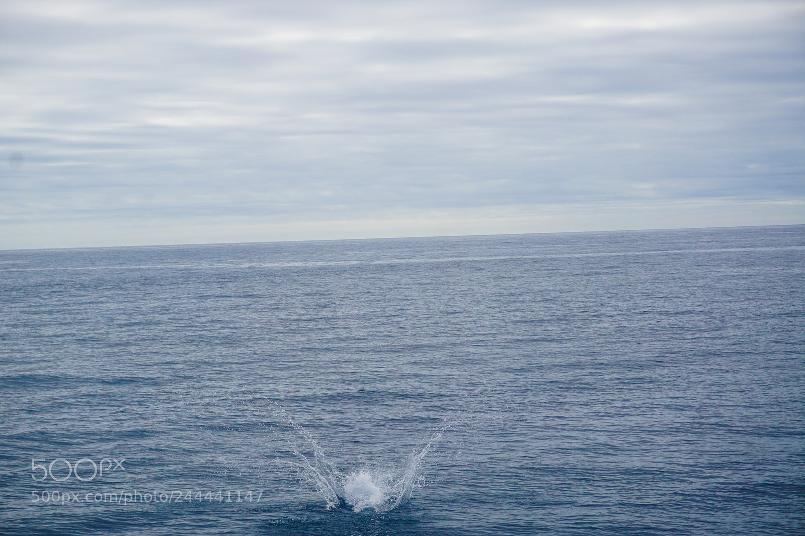 Sony a5100 sample photo. Portugal photography