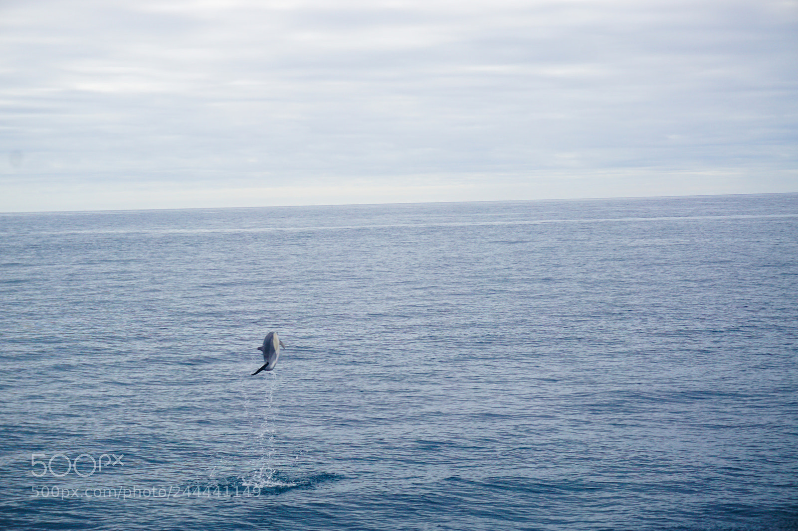 Sony a5100 sample photo. Portugal photography