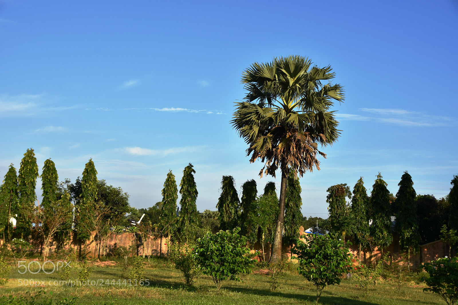 Nikon D7200 sample photo. Natural beauty of bangladesh photography