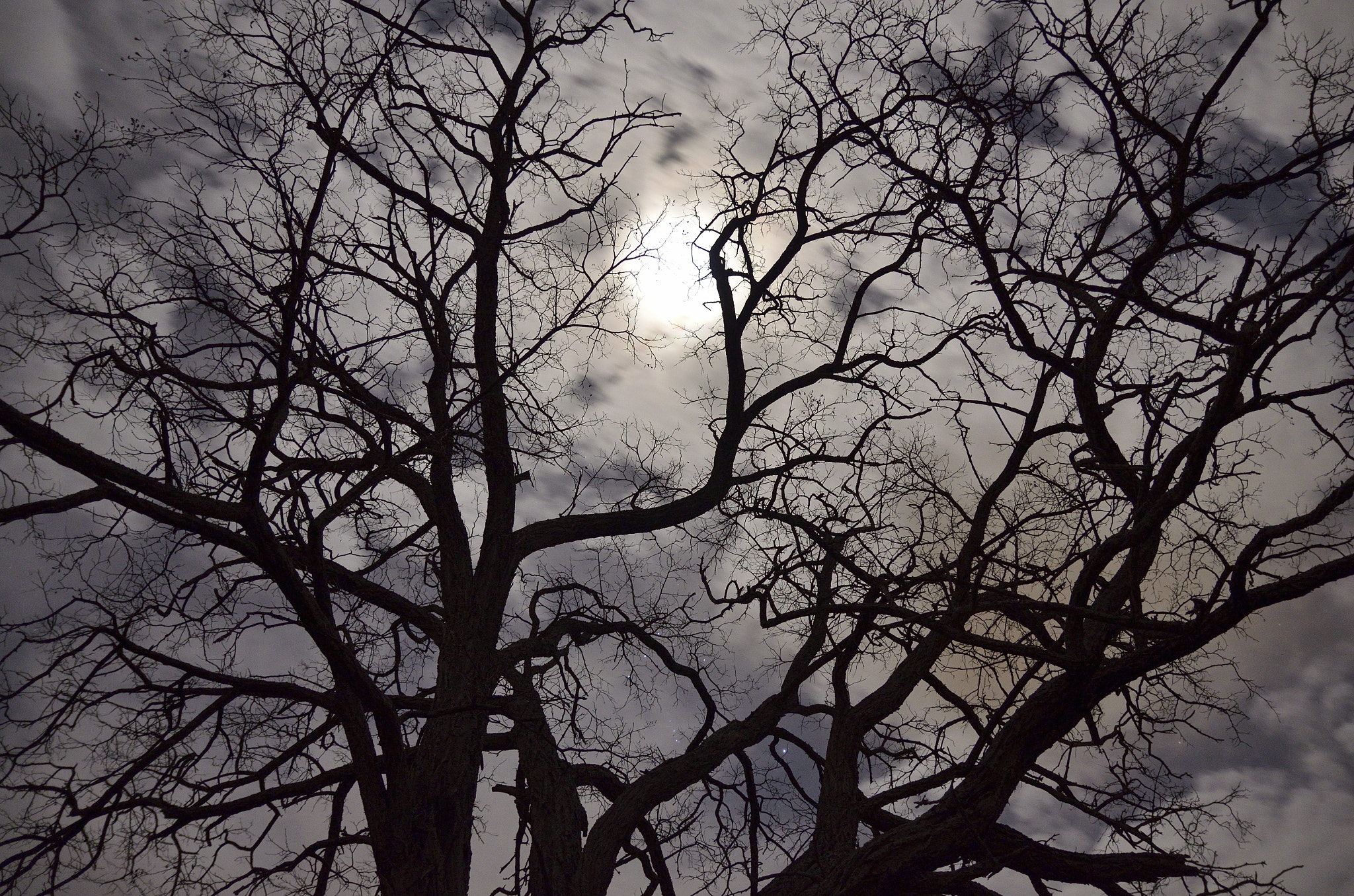 Sigma 17-50mm F2.8 EX DC OS HSM sample photo. Moon photography