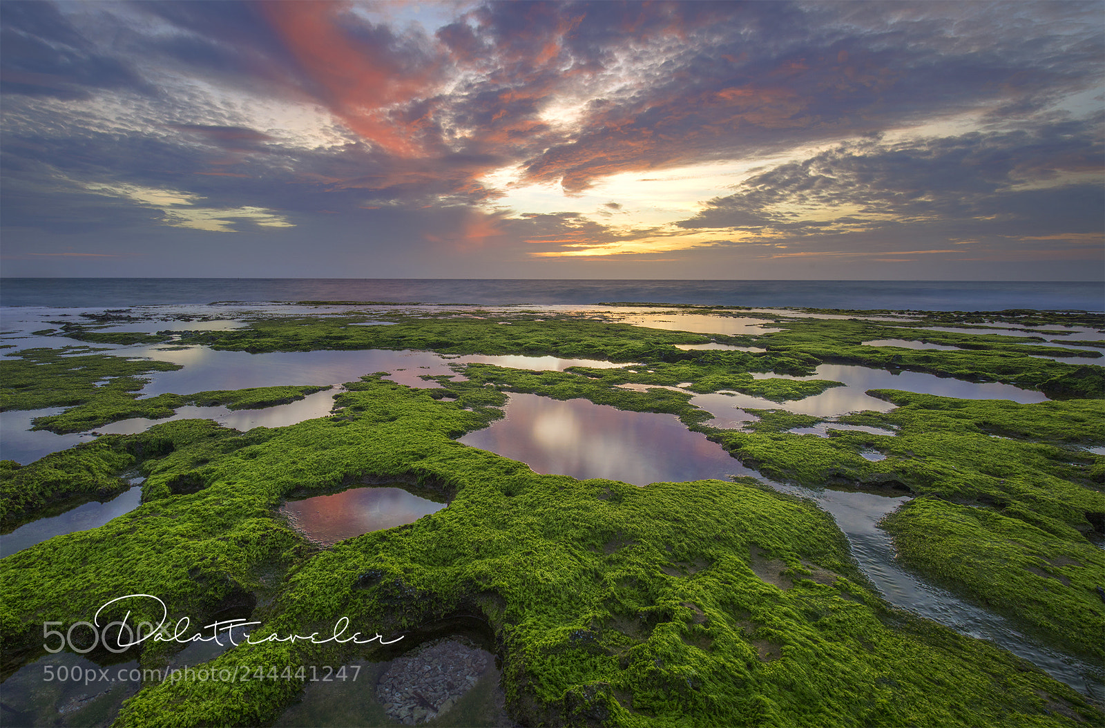 Canon EOS 5DS R sample photo. My hiep photography