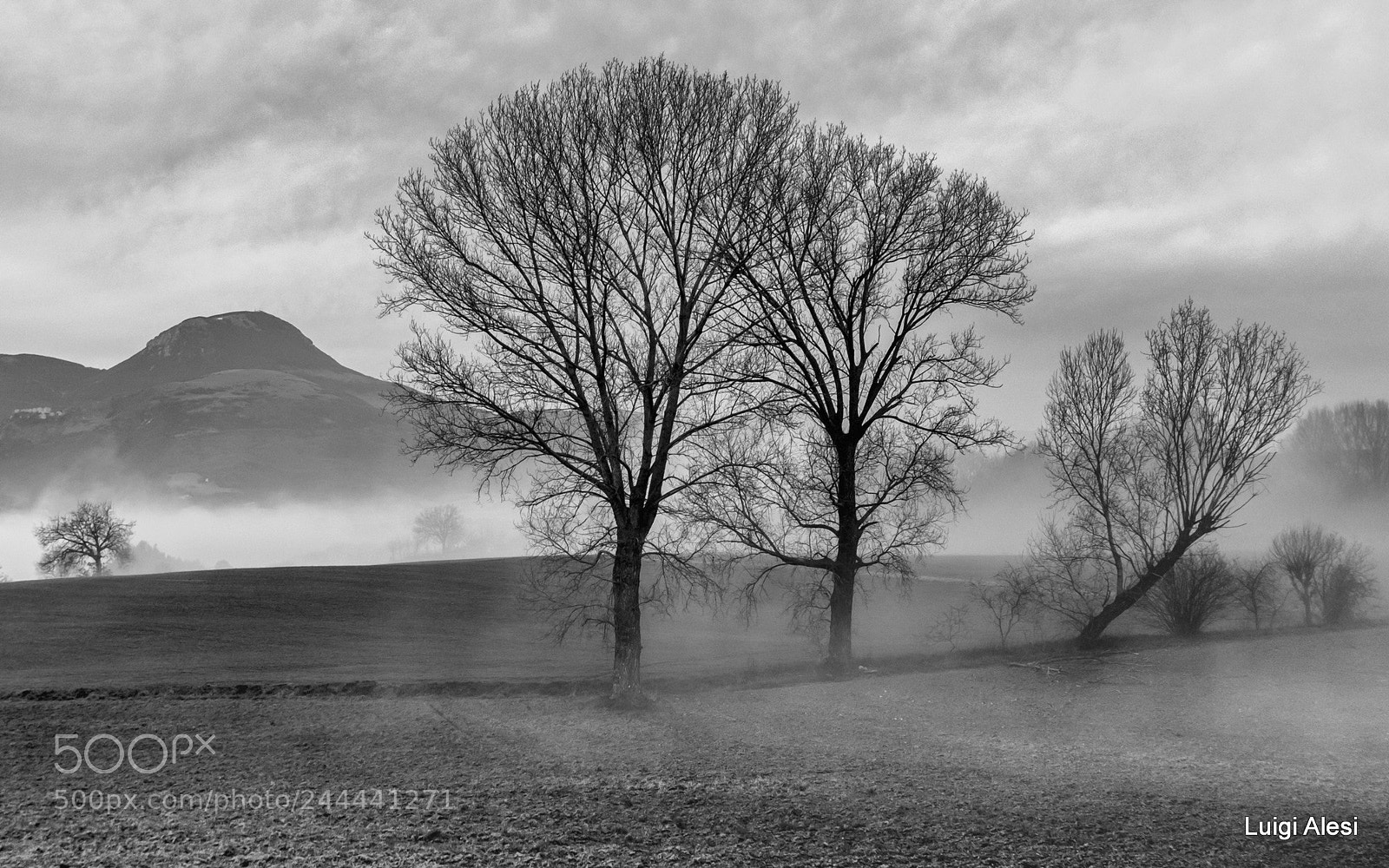 Fujifilm X-M1 sample photo. Marche countryside photography