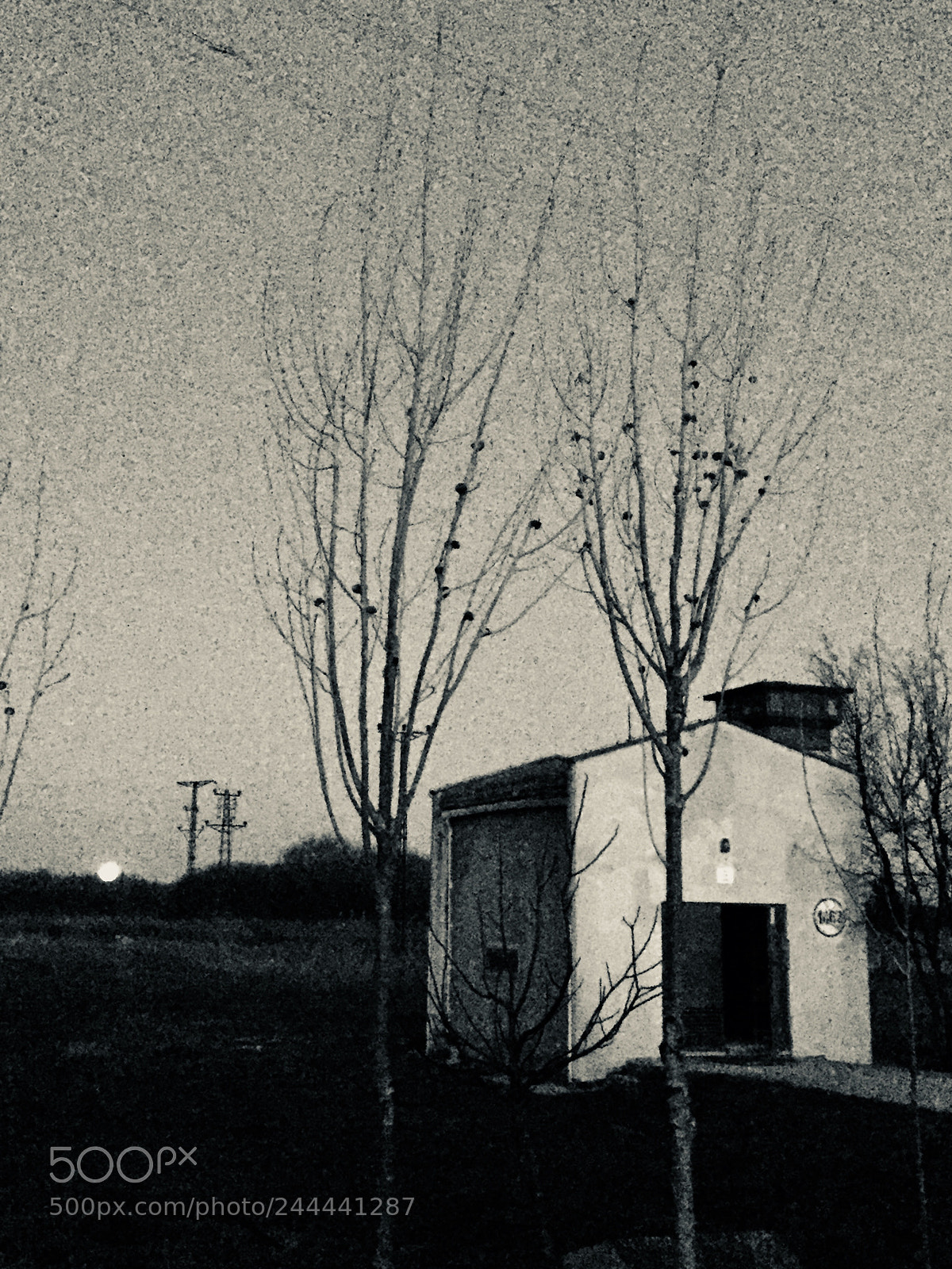 Apple iPhone 6 sample photo. Untitled photography