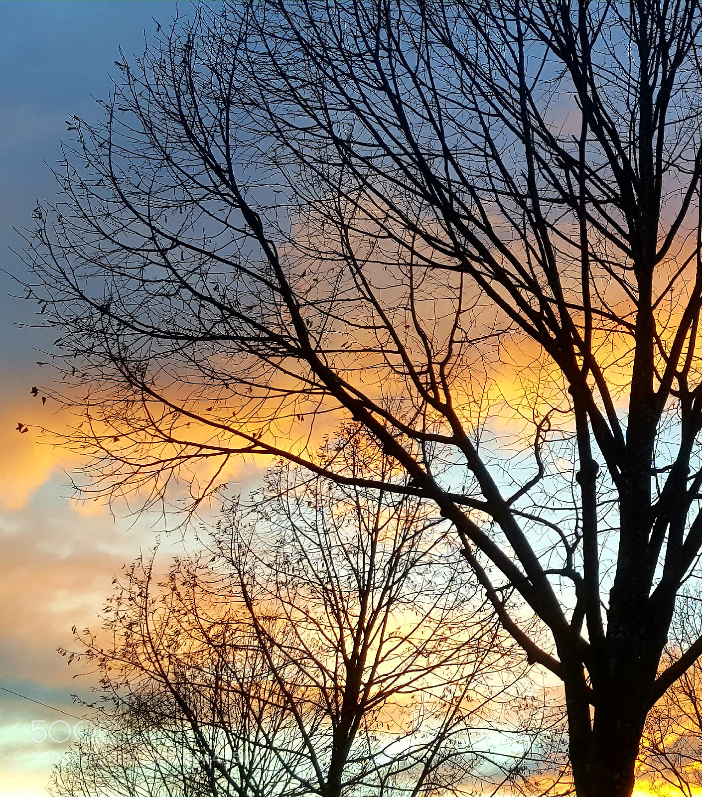 Samsung Galaxy S6 sample photo. The colors in the photography