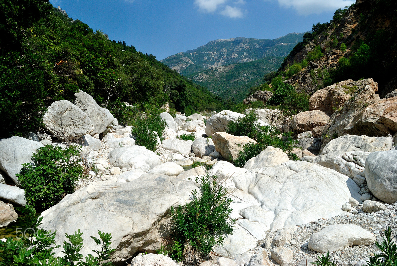 Nikon D3000 sample photo. Rio flumineddu all'uscita della photography
