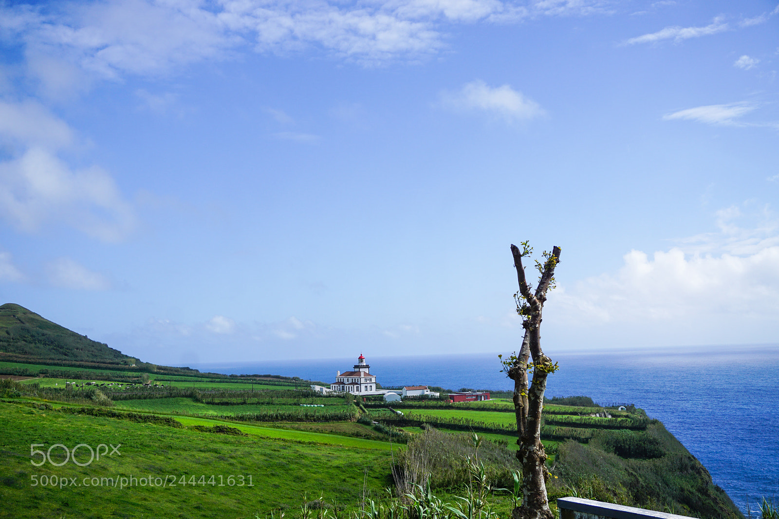Sony a5100 sample photo. Portugal photography