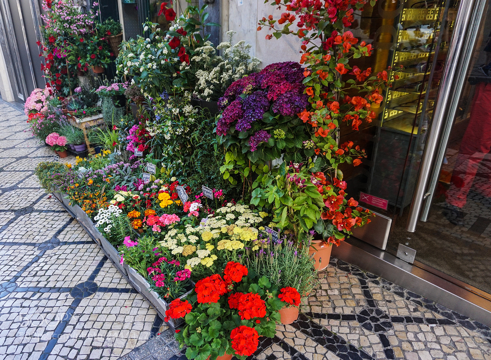 Sony a5100 sample photo. Portugal photography