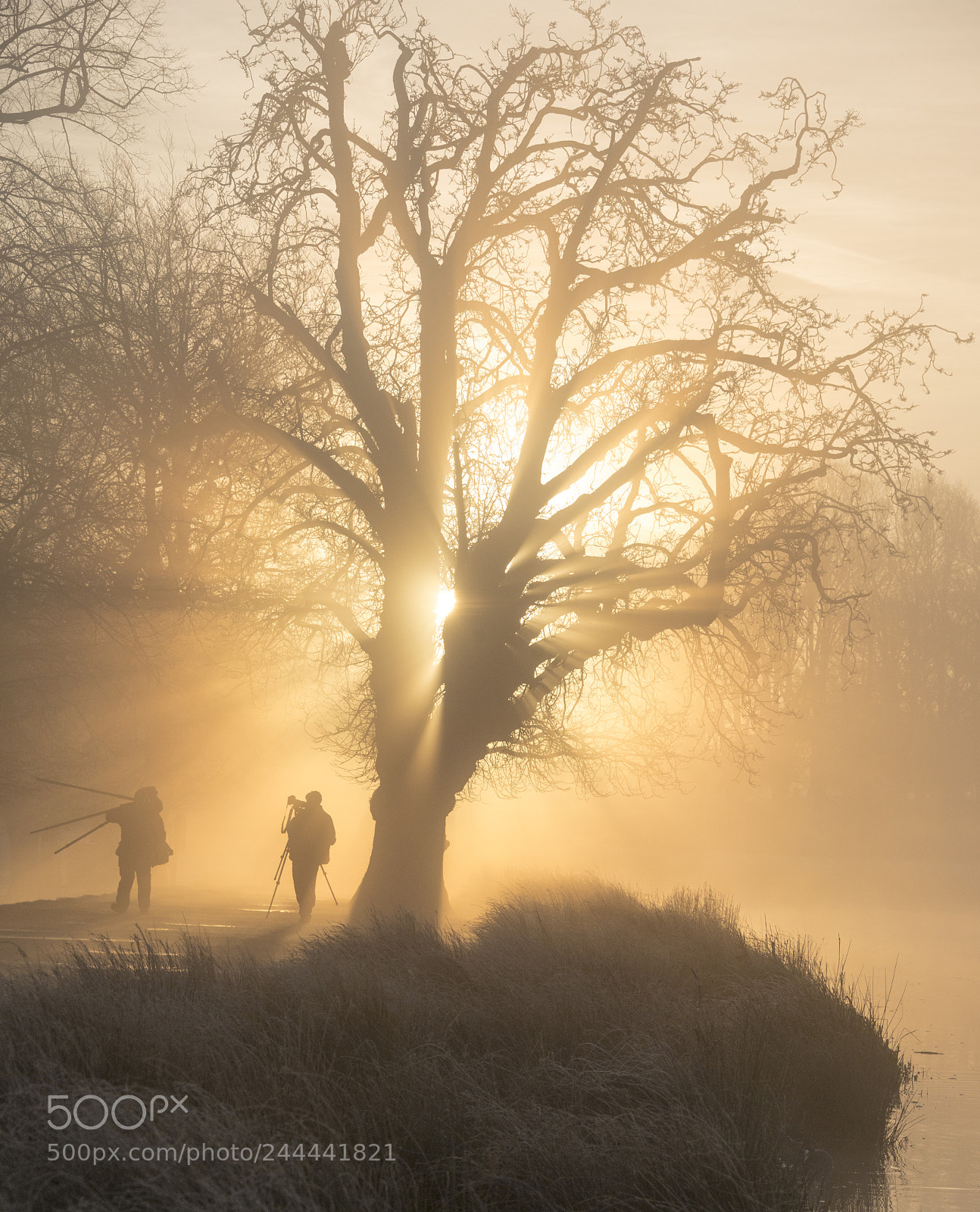 Nikon D800 sample photo. Sunrise in london photography
