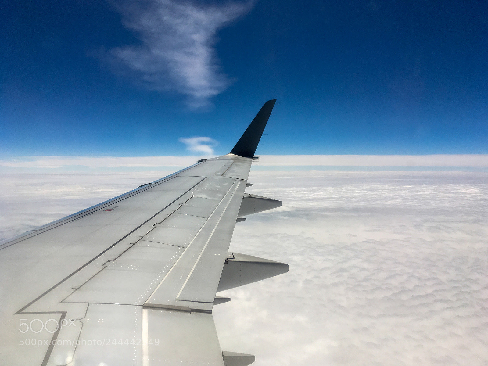 Apple iPhone SE sample photo. Flying high photography