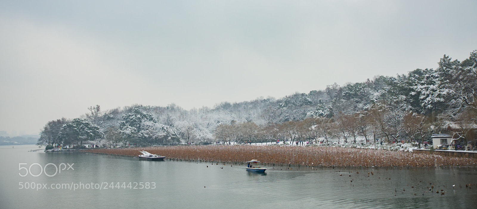 Nikon D810 sample photo. Snow@hangzhou photography