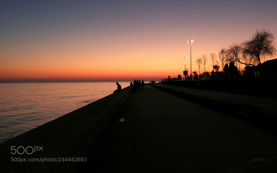 Samsung NX1 sample photo. ... photography