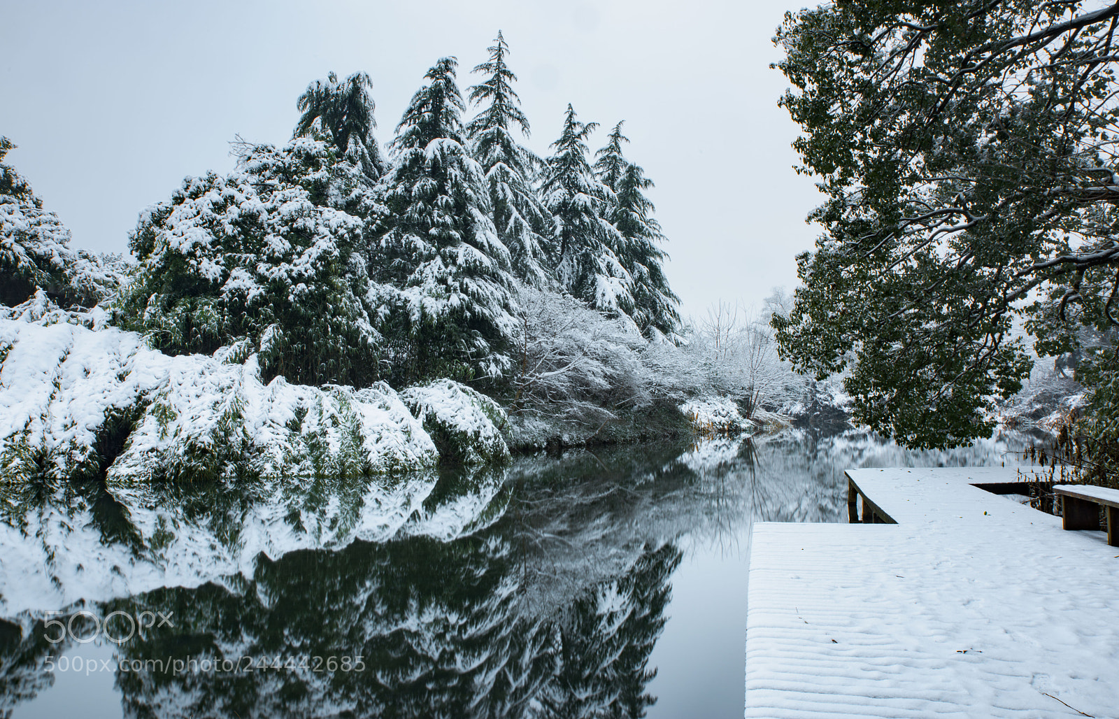 Nikon D810 sample photo. Snow@hangzhou photography