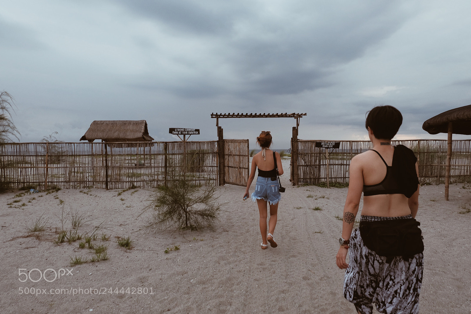 Fujifilm X-T10 sample photo. Untitled photography
