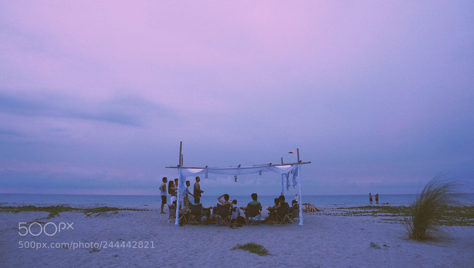 Sony a6300 sample photo. Untitled photography