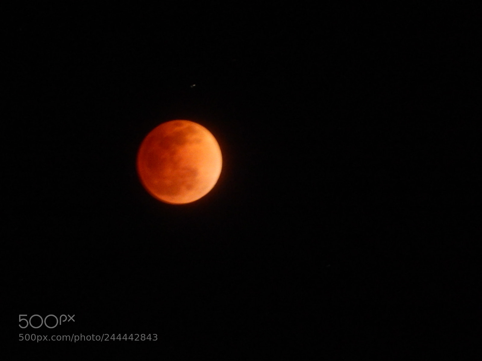Nikon Coolpix L820 sample photo. Red moon photography