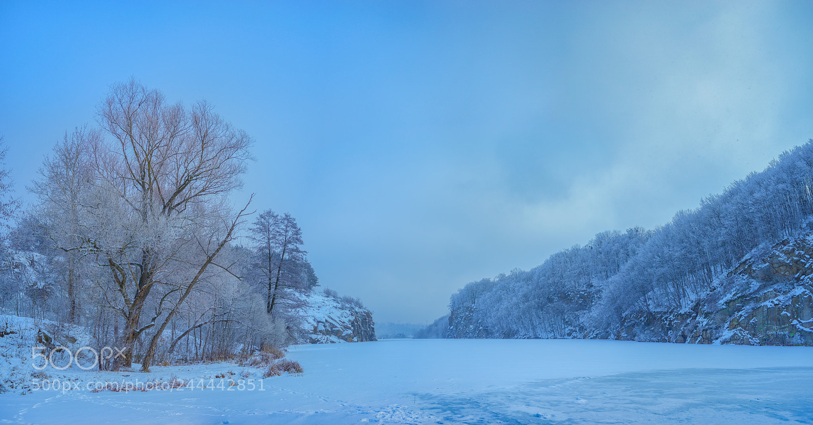 Nikon D800E sample photo. Frosty morning photography