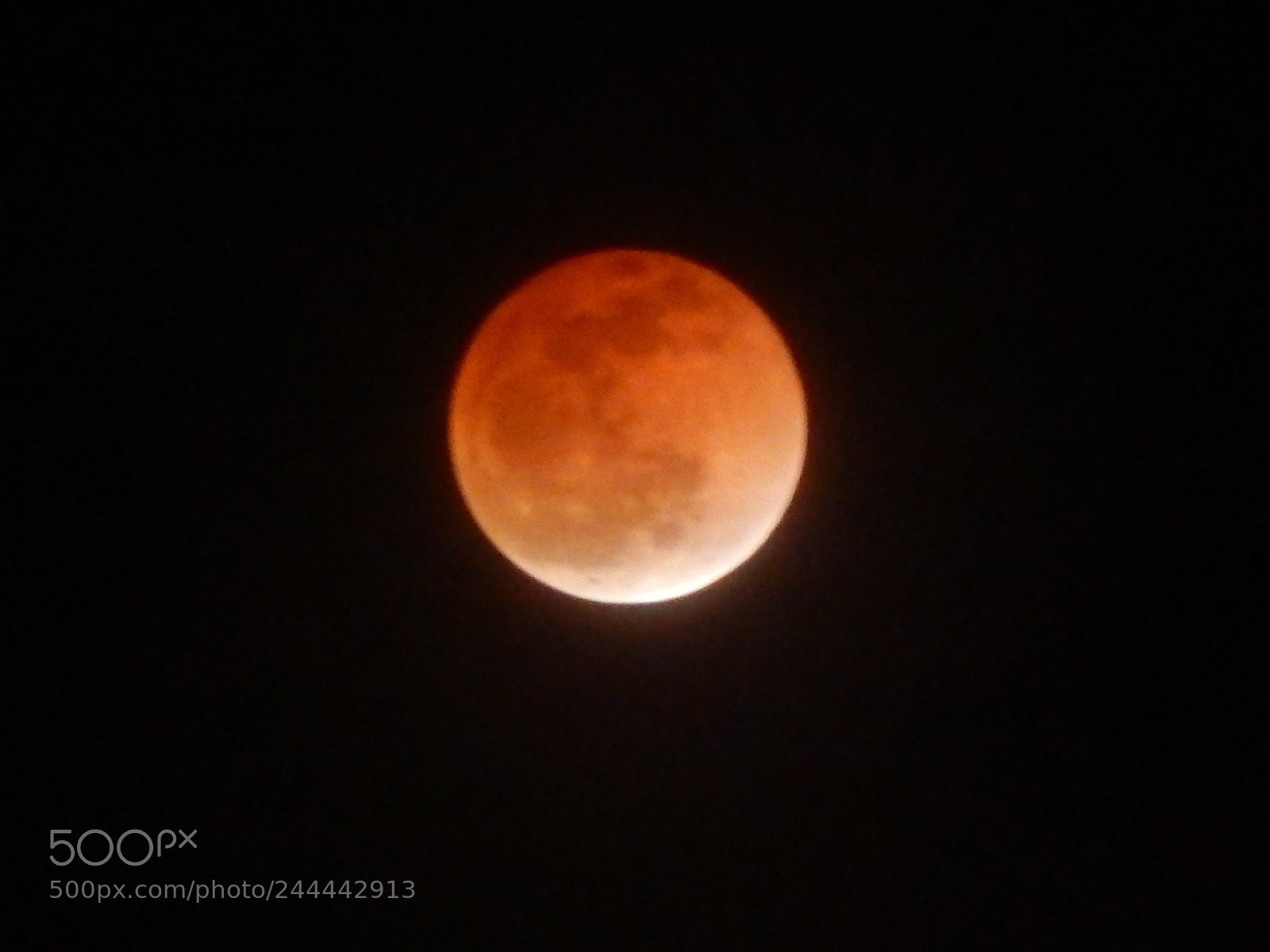 Nikon Coolpix L820 sample photo. Red moon photography