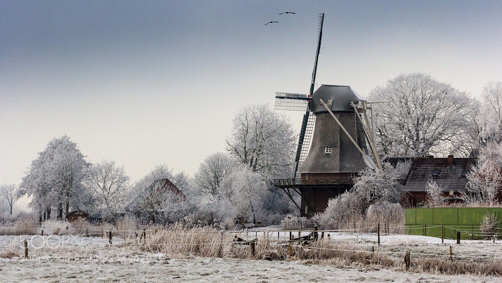 Canon EOS 60D sample photo. Mühle in sengwarden photography