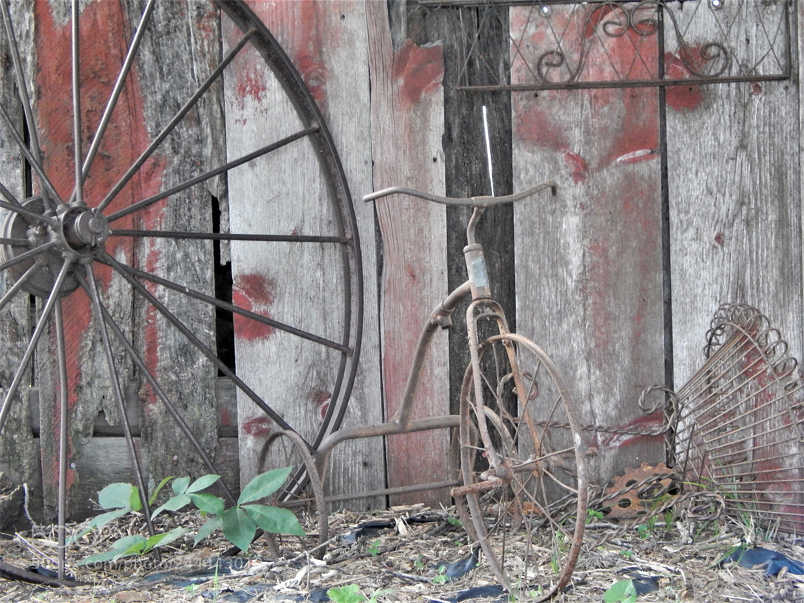 Nikon Coolpix L820 sample photo. Wheels photography