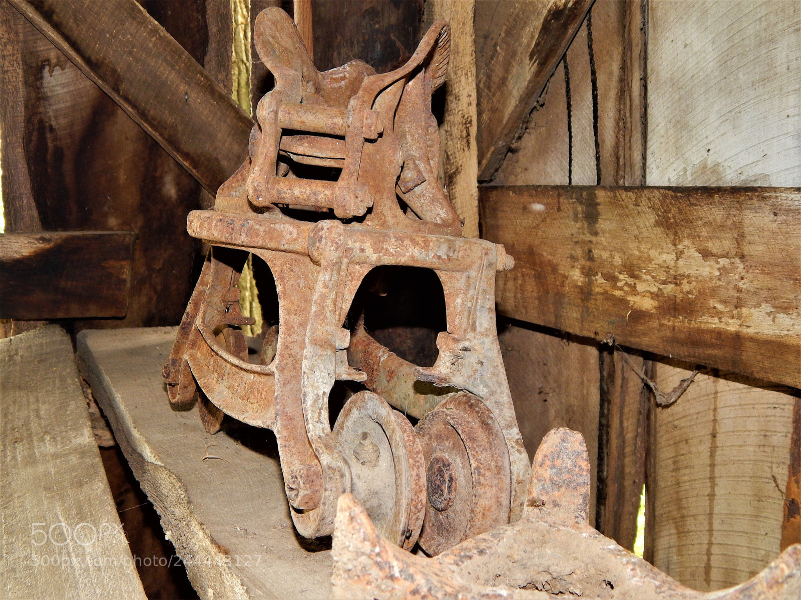 Nikon Coolpix L820 sample photo. Life on the farm photography