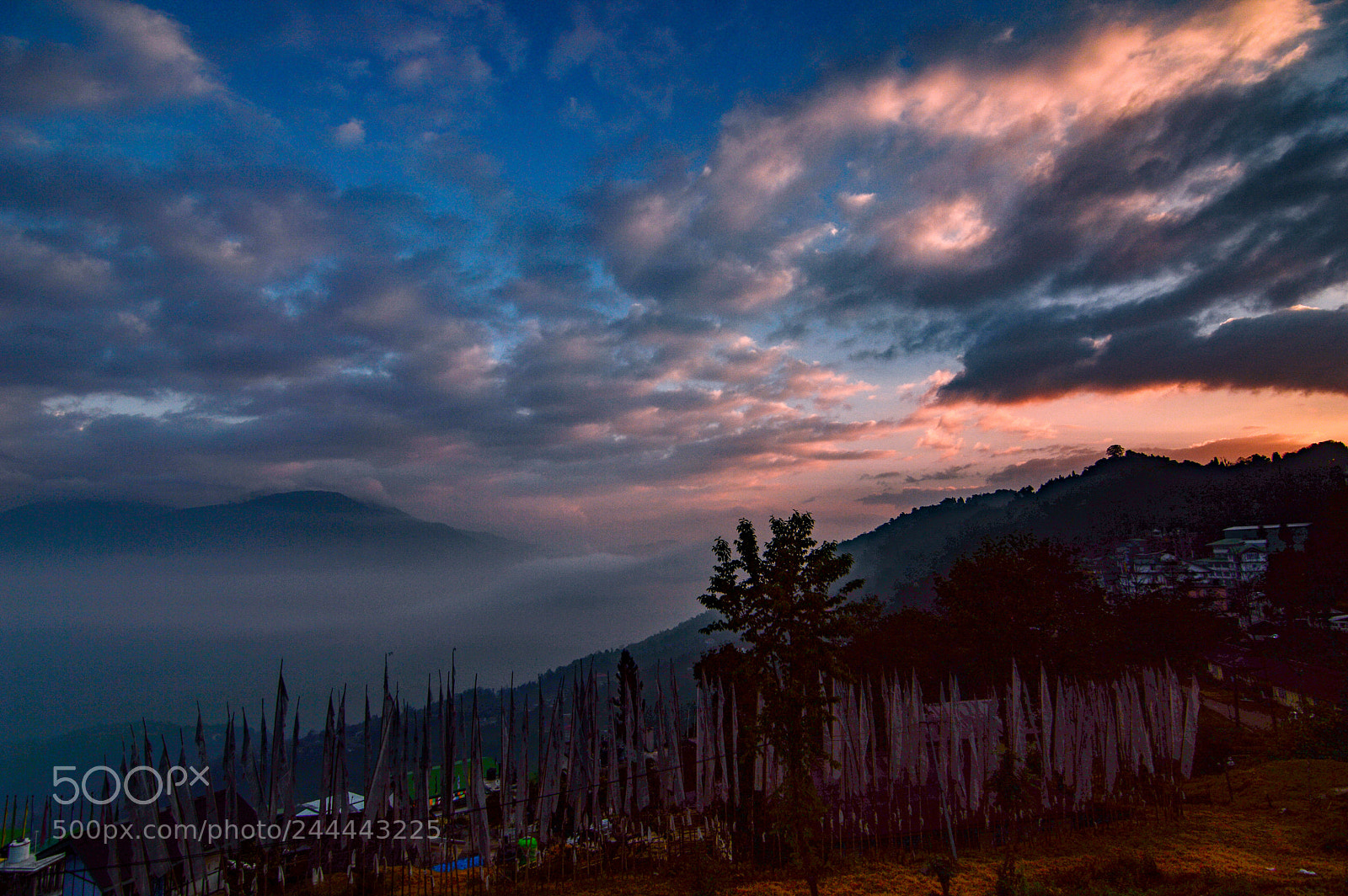 Nikon D3200 sample photo. Foggy sunrise photography
