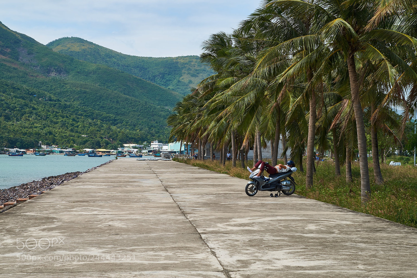 Sony SLT-A58 sample photo. Siesta time photography
