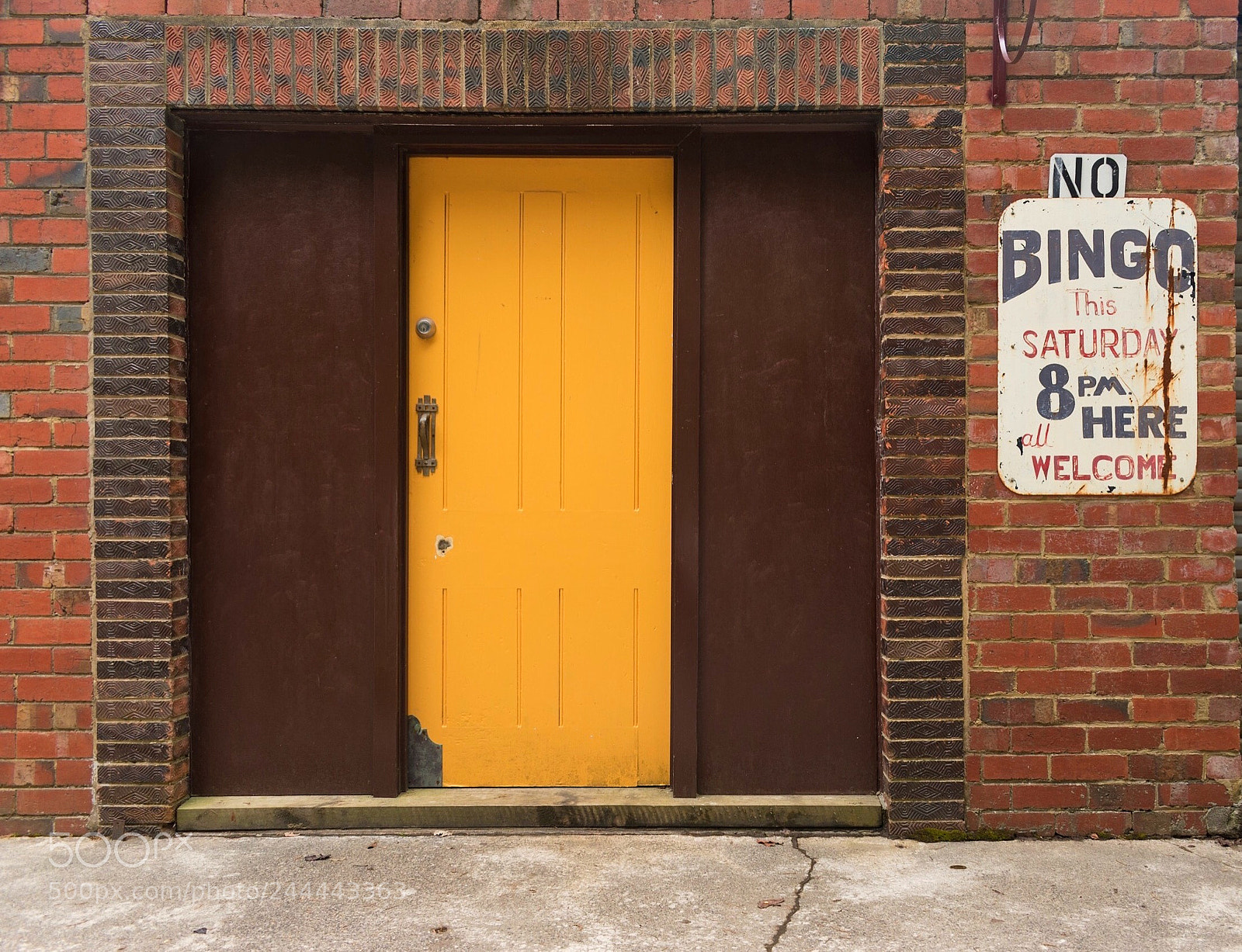 Nikon D5600 sample photo. No bingo photography