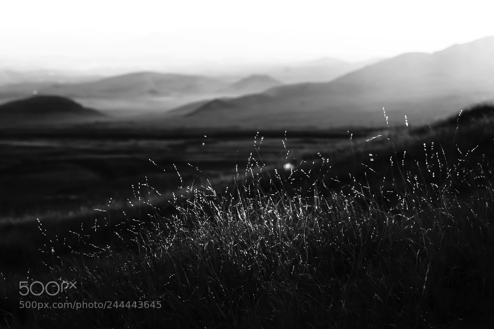Sony Alpha NEX-7 sample photo. Untitled photography