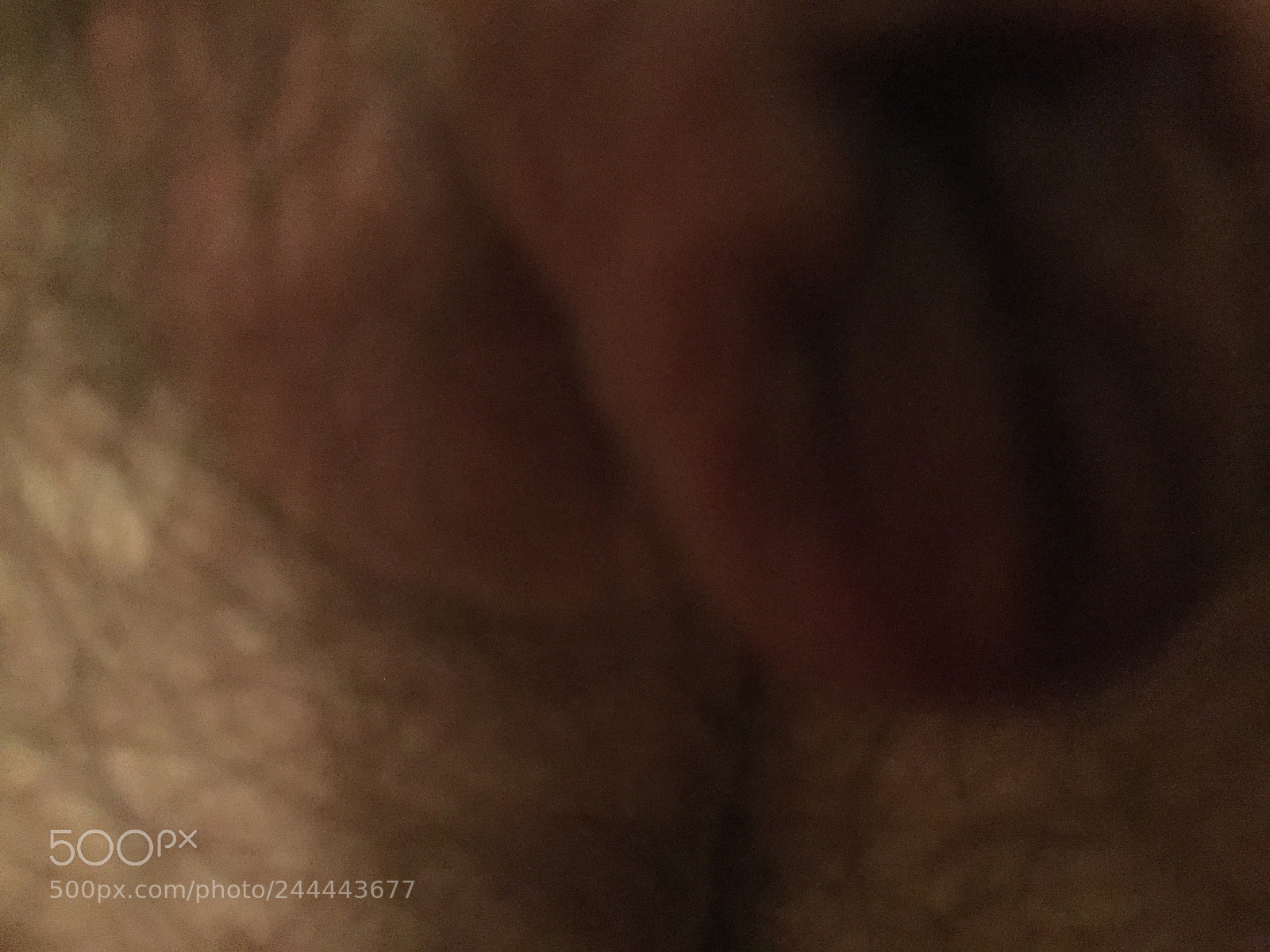 Apple iPad Air 2 sample photo. Untitled photography