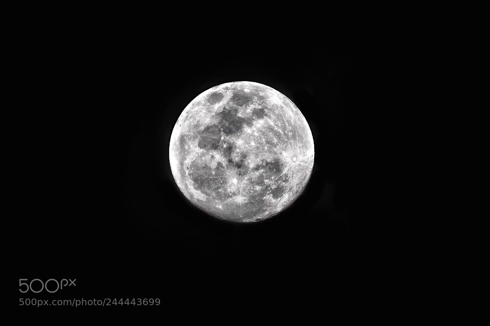 Nikon D3100 sample photo. Full moon photography