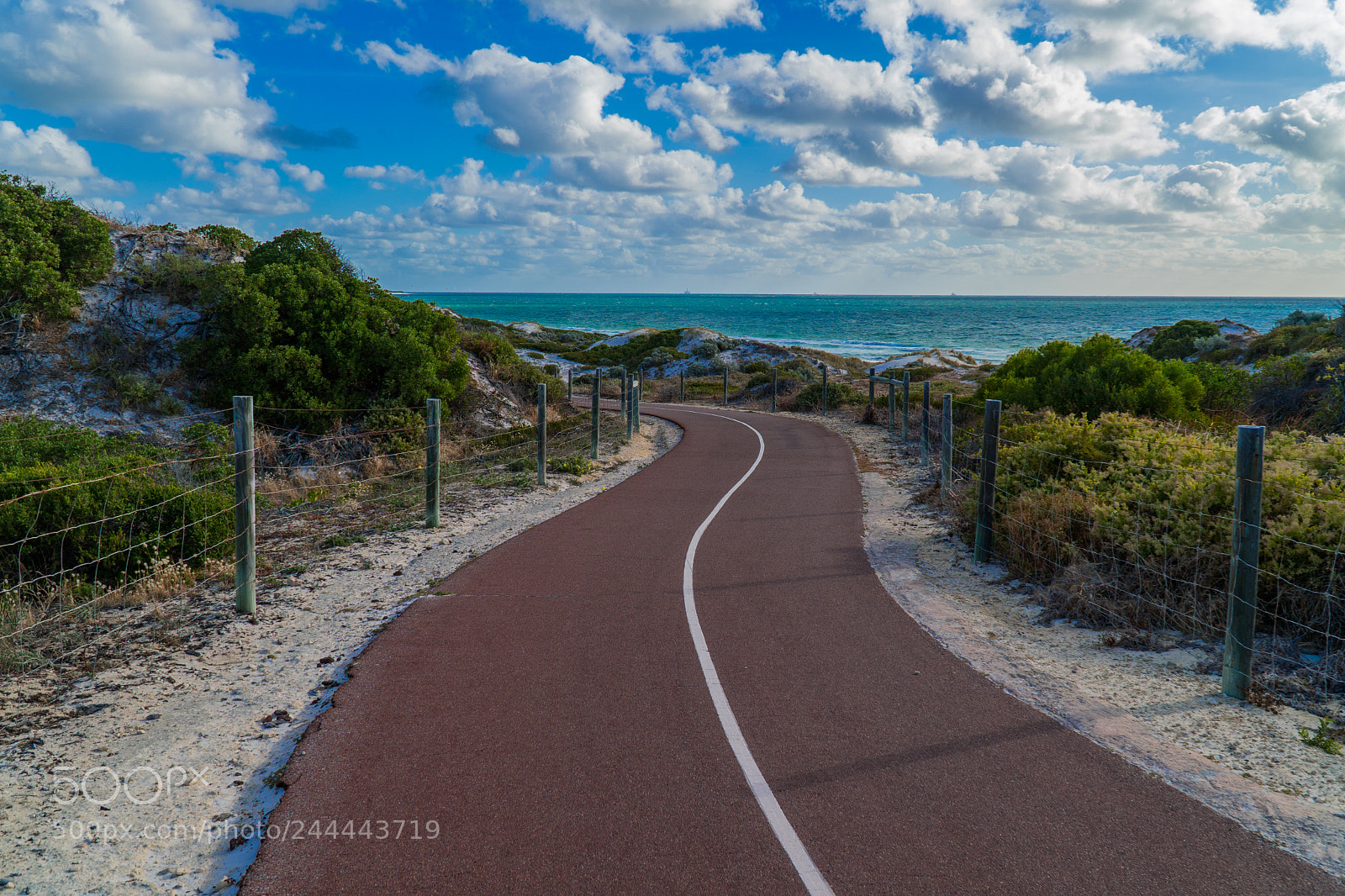 Sony a6300 sample photo. Walking track photography
