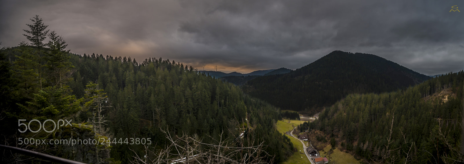 Nikon D4 sample photo. Black forest pano photography