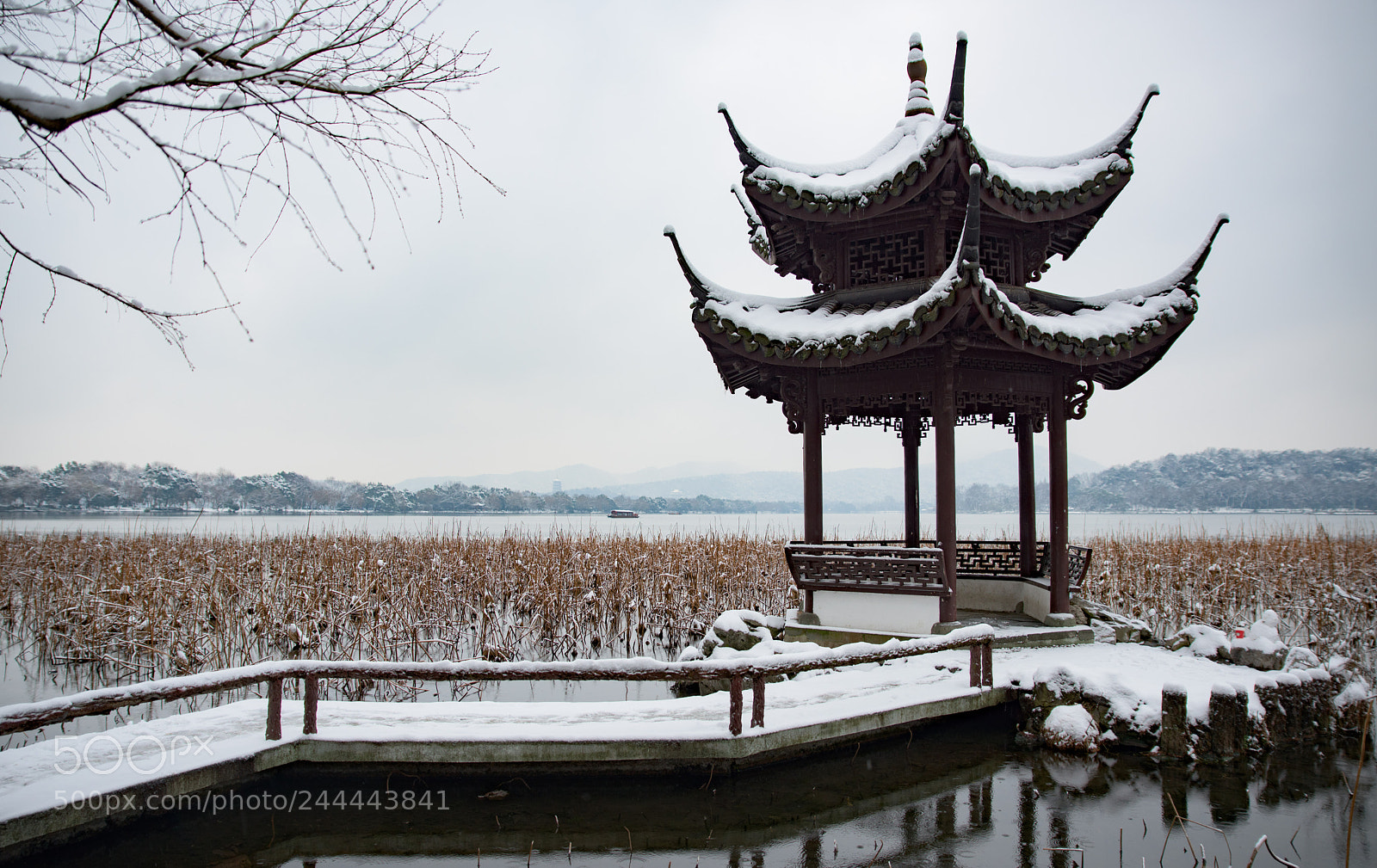 Nikon D810 sample photo. On west lake, hangzhou,china photography