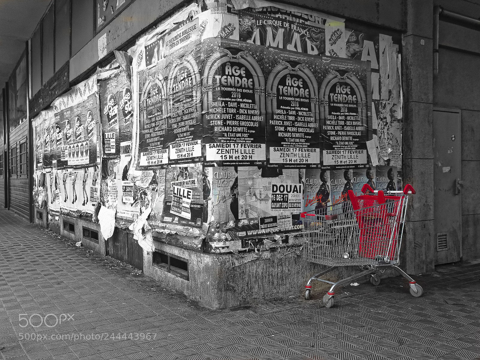 Olympus PEN-F sample photo. Affiches stratifi es au photography