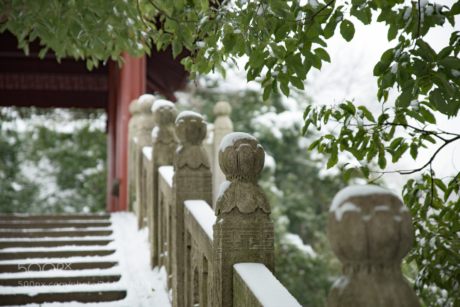 Nikon D810 sample photo. Smile photography