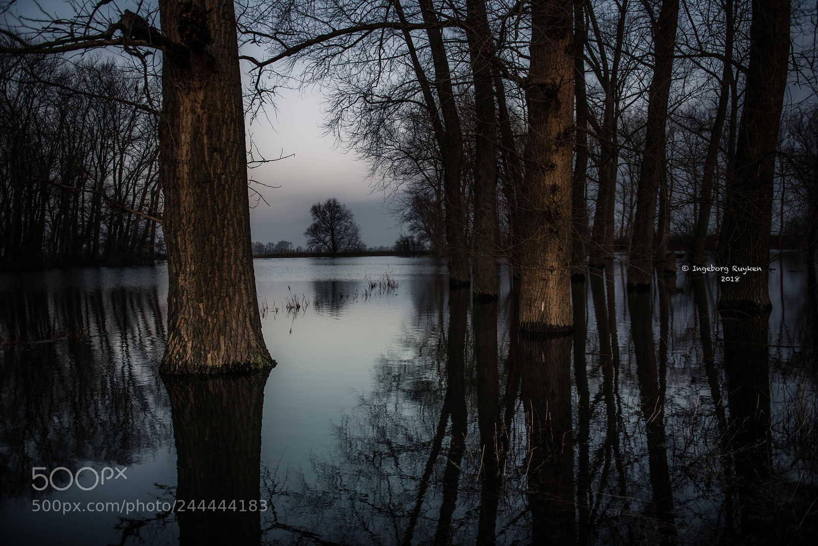 Nikon D800 sample photo. Empel - groote wiel 3128 photography