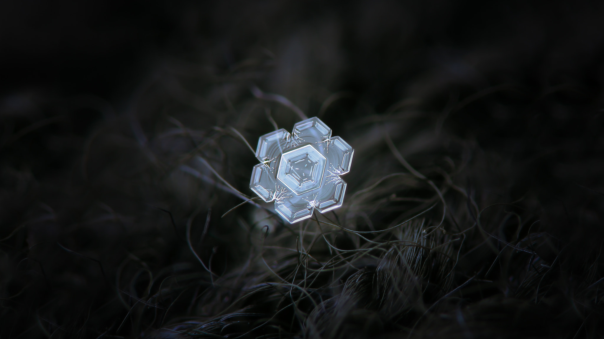 Canon POWERSHOT A650 IS sample photo. Real snowflake macro photo: 2018-01-29_1 photography