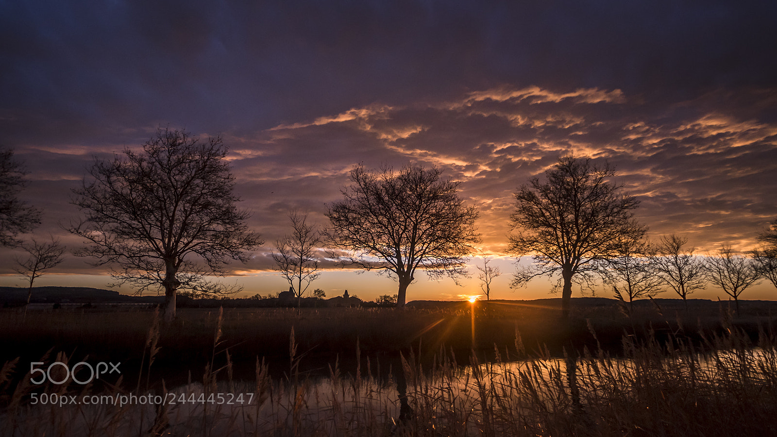 Nikon D810 sample photo. Winter sunrise photography