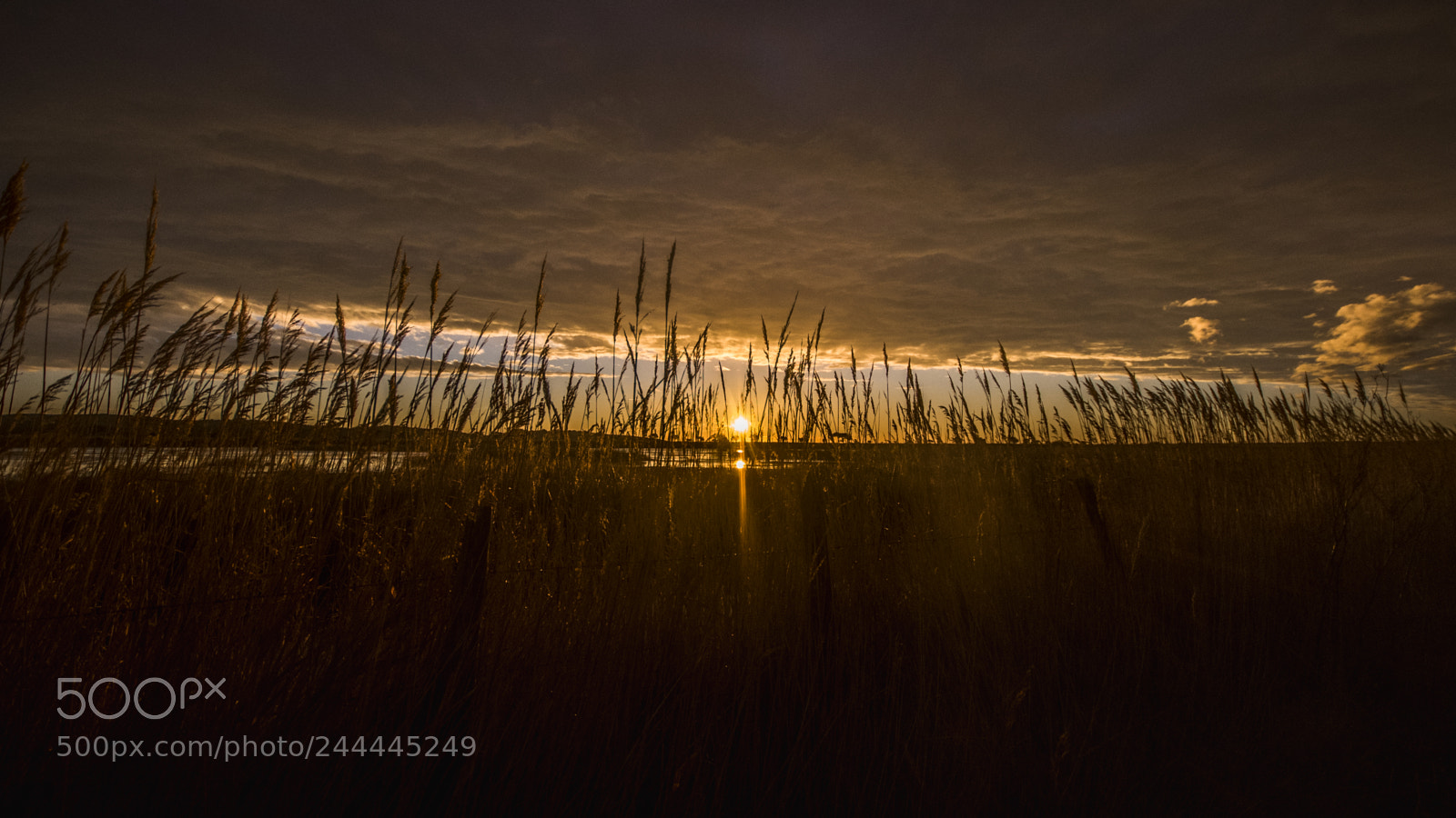 Nikon D810 sample photo. Early in the morning photography