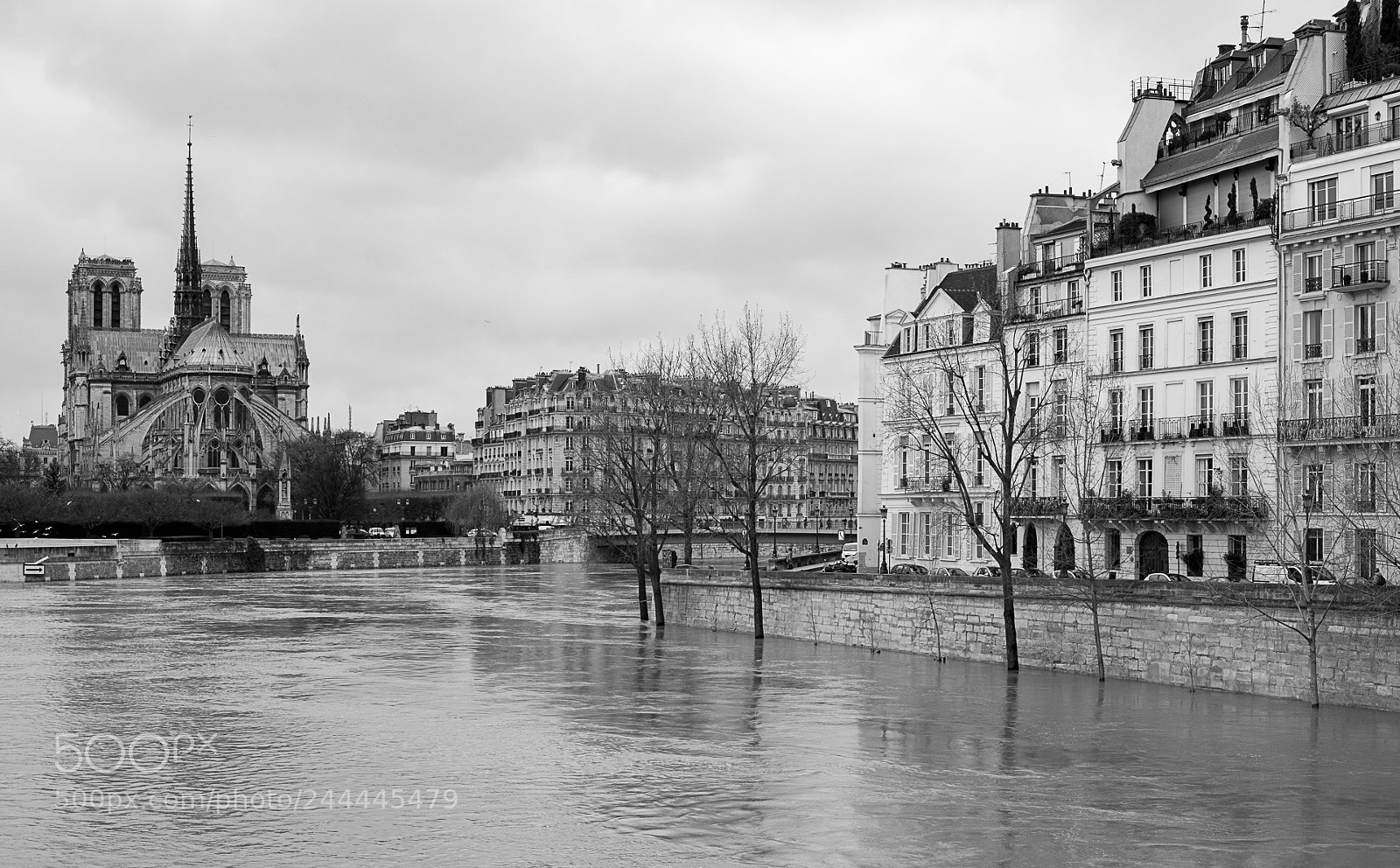 Fujifilm X-T20 sample photo. Banks under water photography