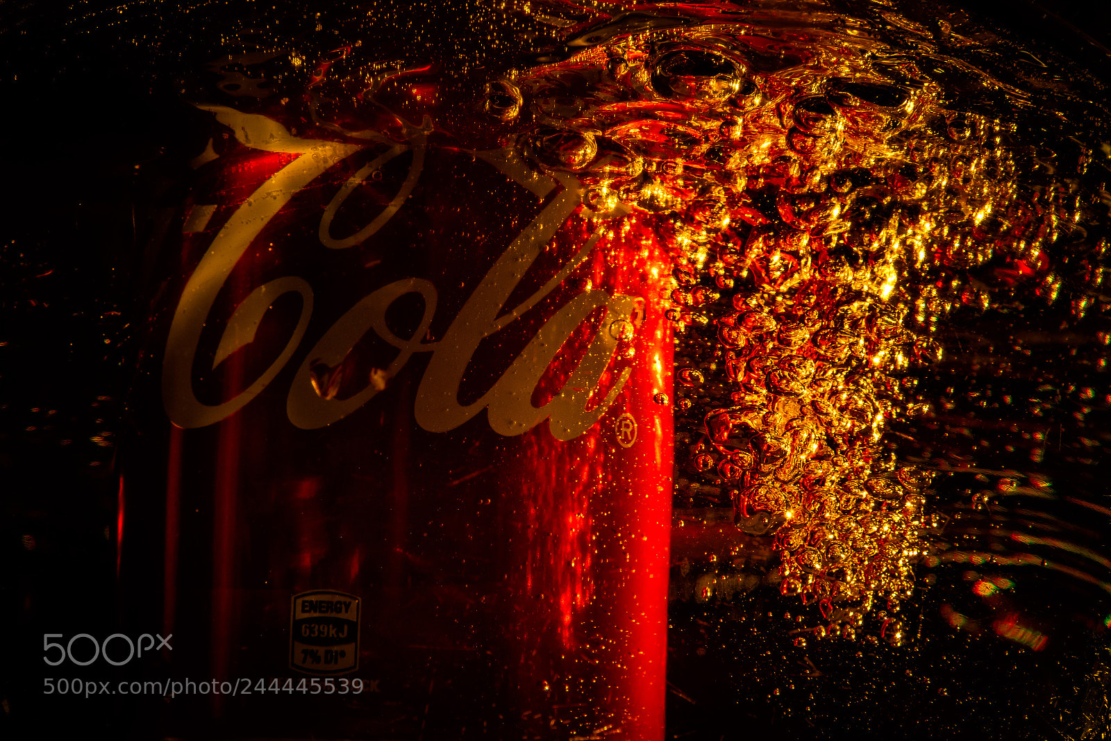 Nikon D500 sample photo. The cola's dive photography