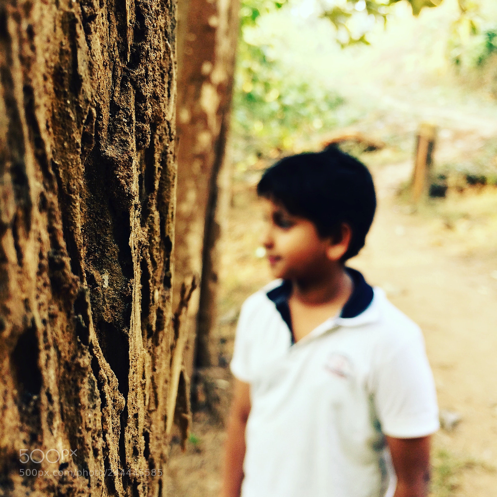 Apple iPhone 5s sample photo. Lost in the woods photography