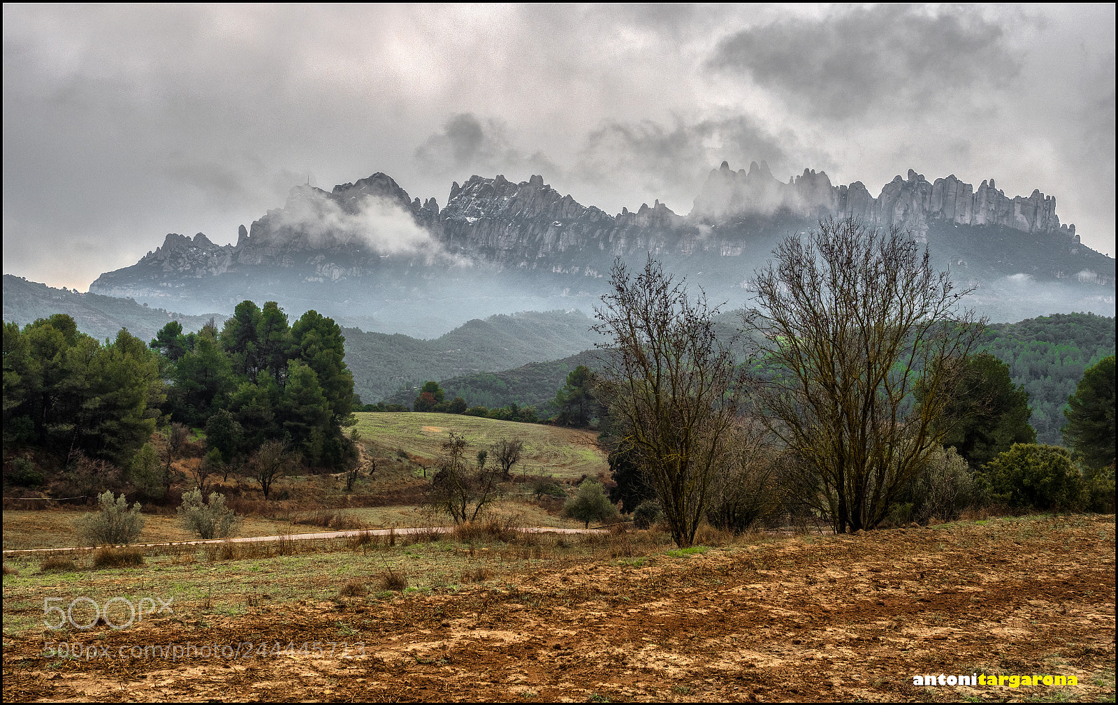 Olympus OM-D E-M1 Mark II sample photo. Montserrat photography