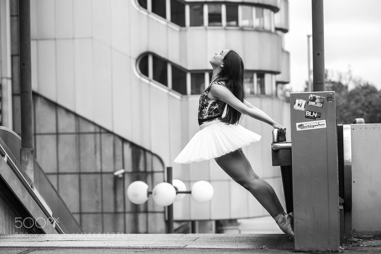 Nikon D800 sample photo. Ready to fly! photography