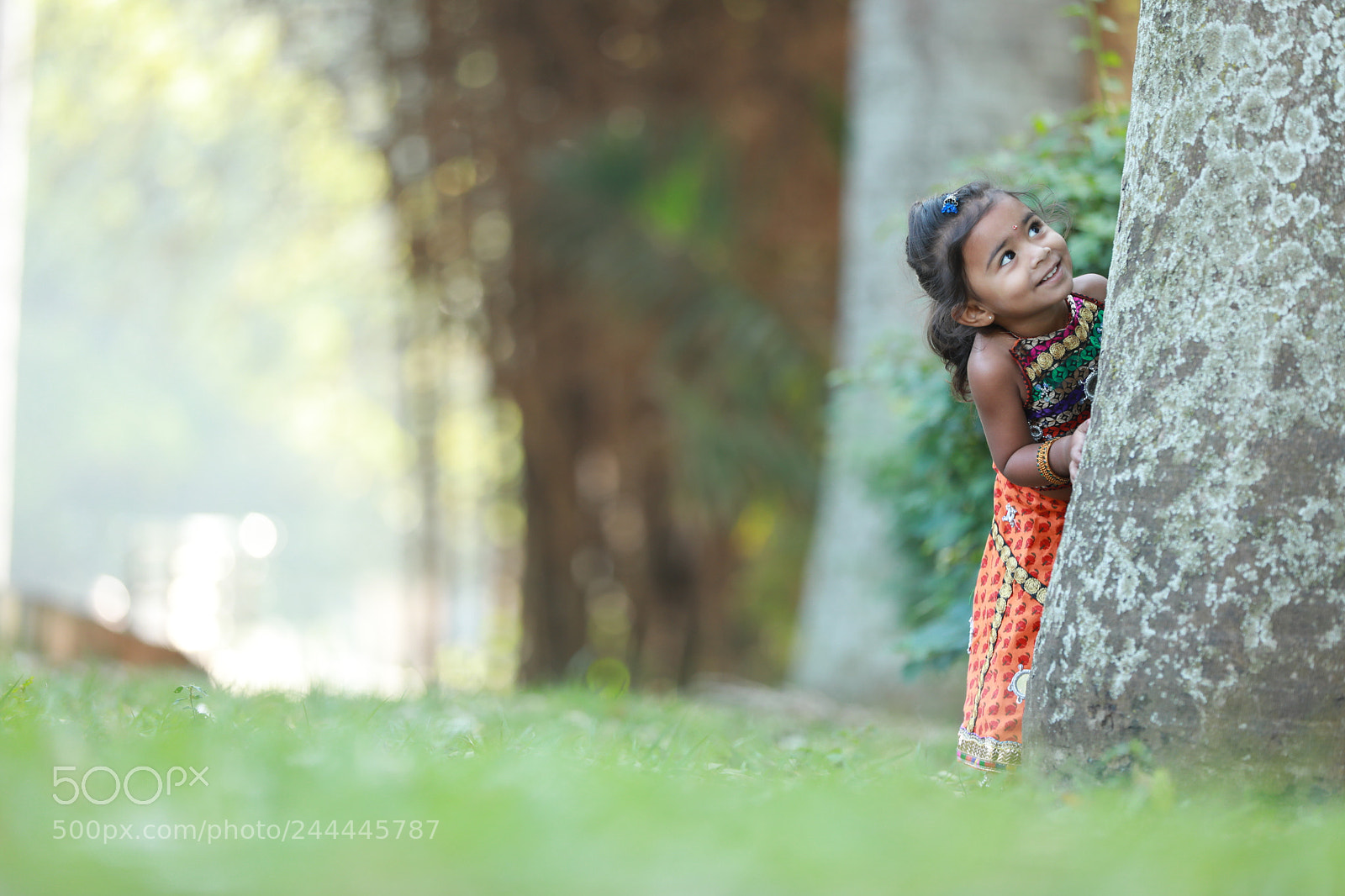 Canon EF 70-200mm F2.8L IS II USM sample photo. Gva photography