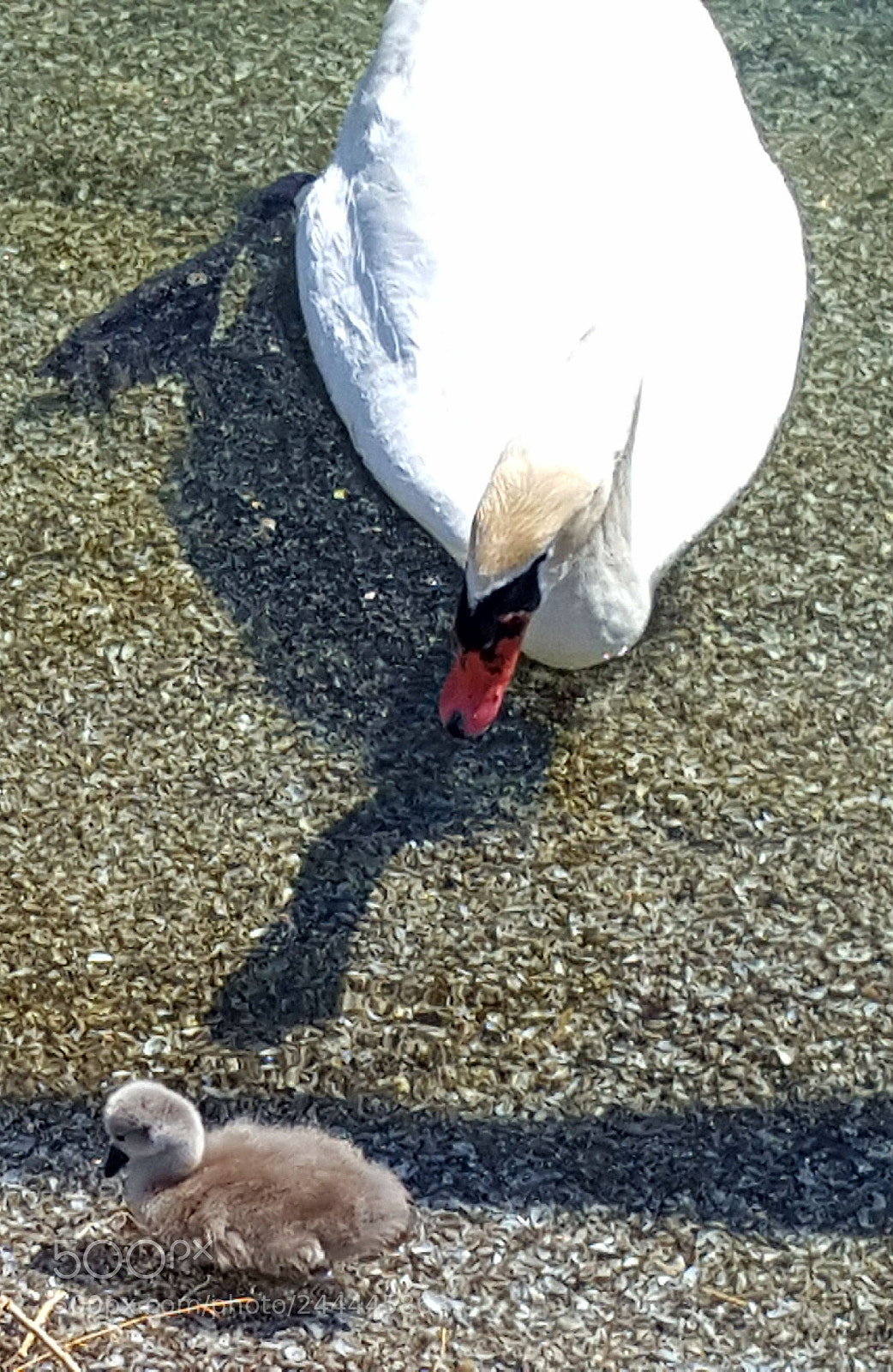 Samsung Galaxy S6 sample photo. Untitled photography