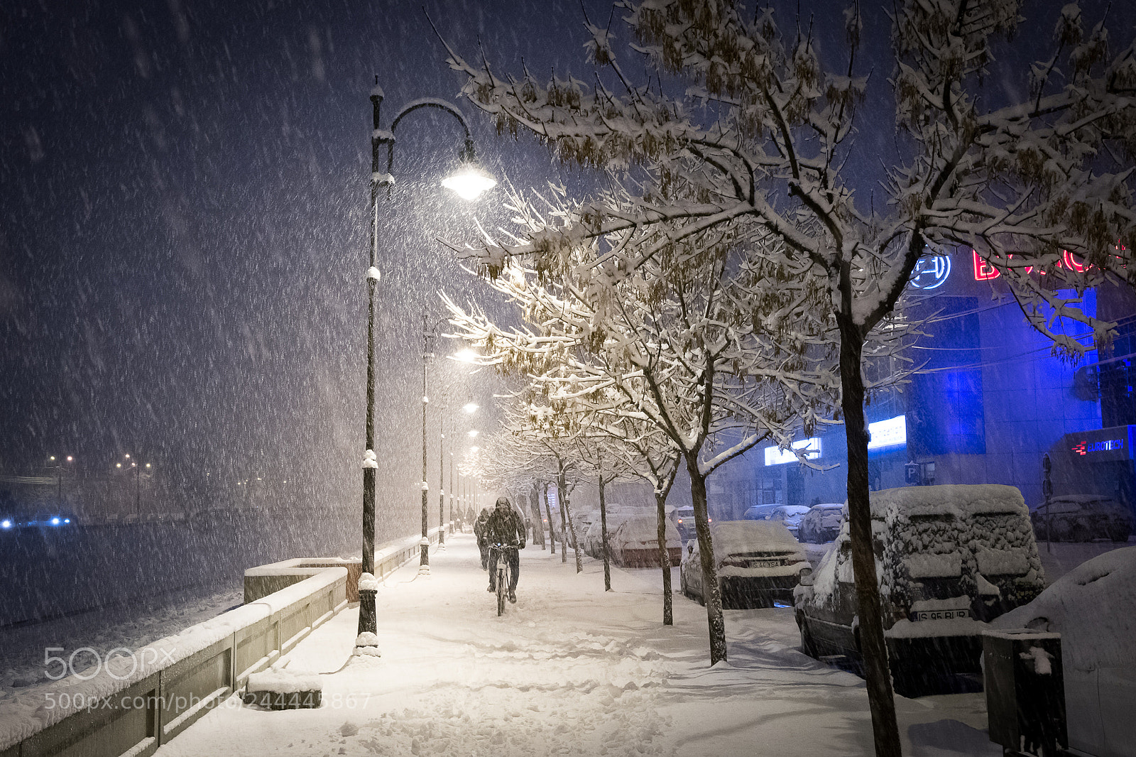 Nikon D500 sample photo. Brave man photography
