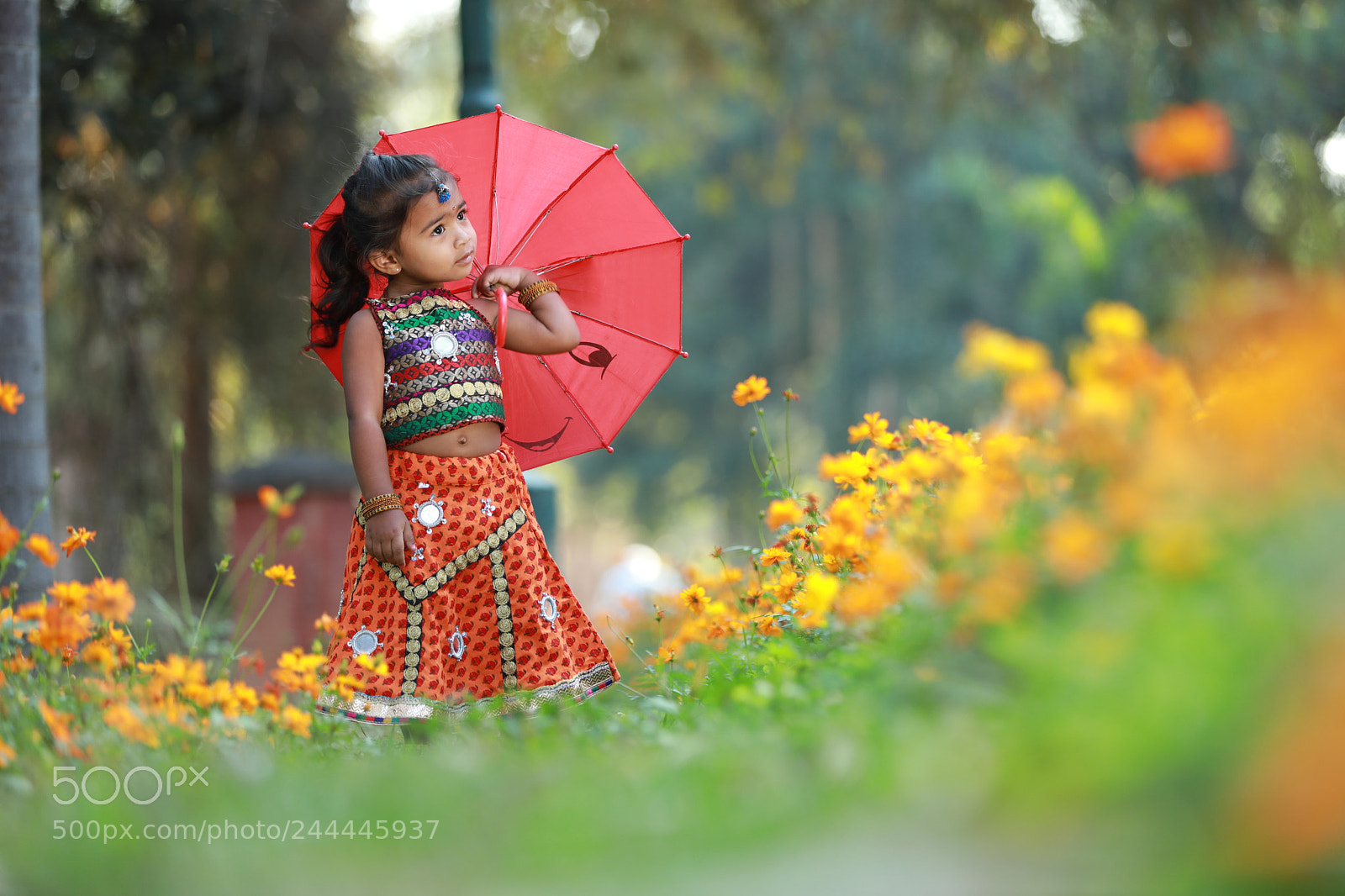 Canon EF 70-200mm F2.8L IS II USM sample photo. Gva photography