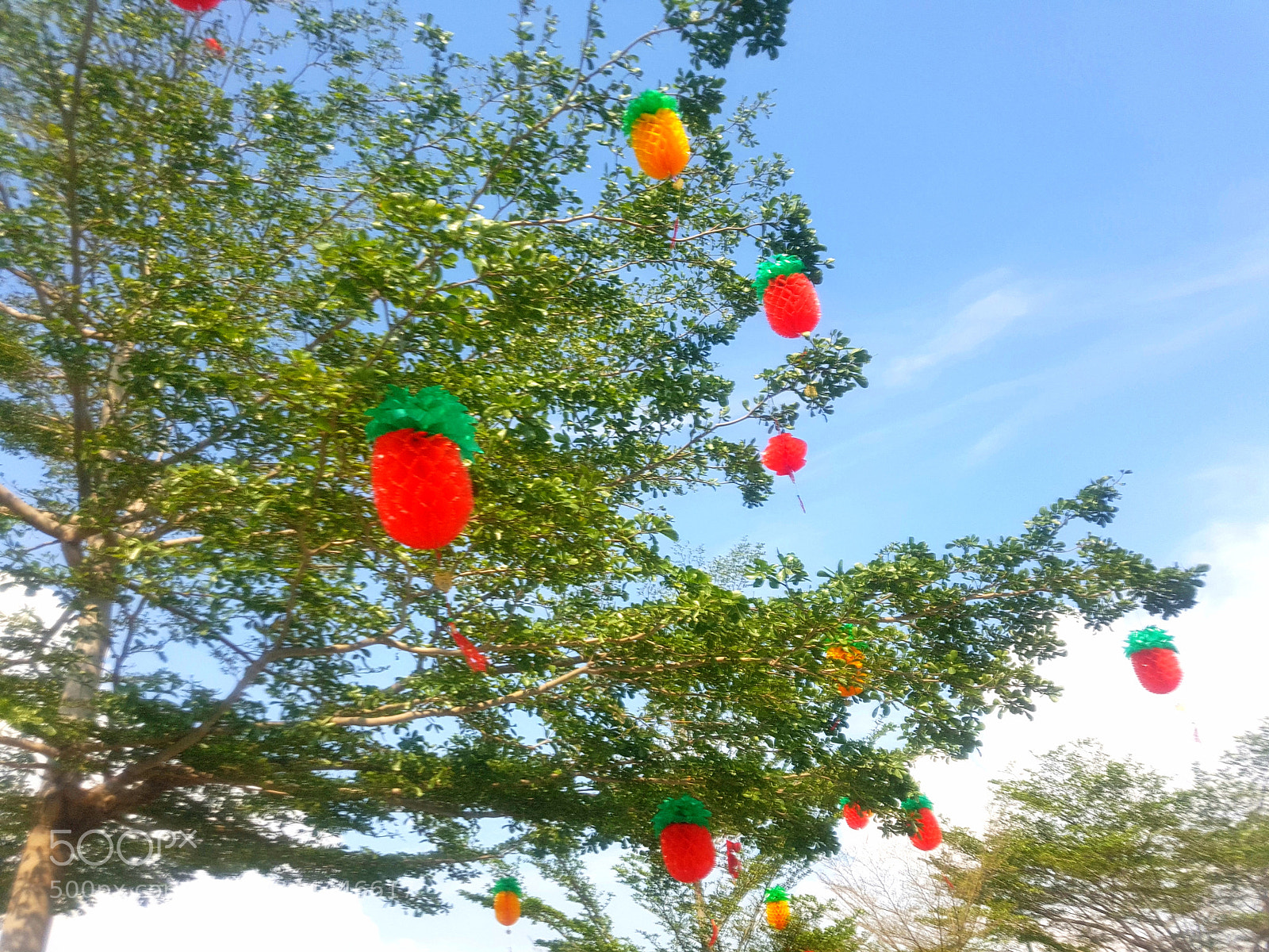 Samsung Galaxy S7 Edge sample photo. Chinese new year coming. photography